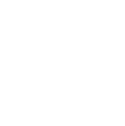 common icon left.png